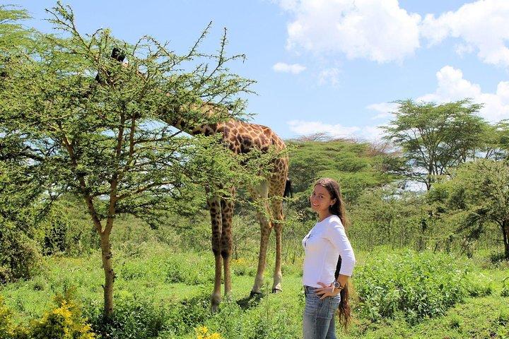 Lake Nakuru National park Day Tour From Nairobi