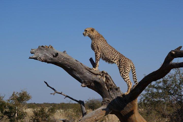 2 Days Tsavo West Safari Adventure Nairobi Kenya !