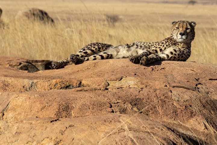 2 Days Tsavo West Safari Adventure Nairobi Kenya !