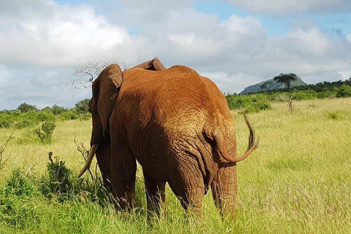 2 Days Tsavo East and West