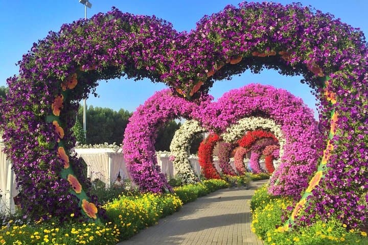 Private Dubai Miracle Garden tour with round trip transfers