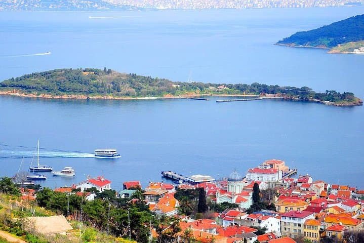 Buyukada Princes’ Island Guided Day Tour with lunch from Istanbul