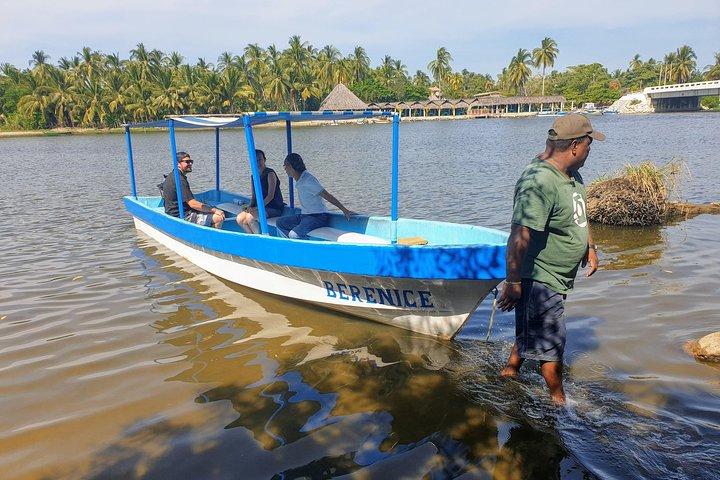 Lagoon Adventure: Jungle, Turtle Release & Cliff Diving Spectacle