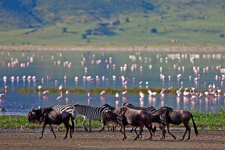 10-Days Fantastic Kenya Wildlife Private Safari