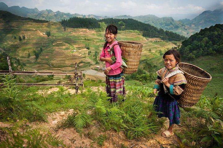Rice Terraced Fields & Homestay Experience – Private 2D 1N