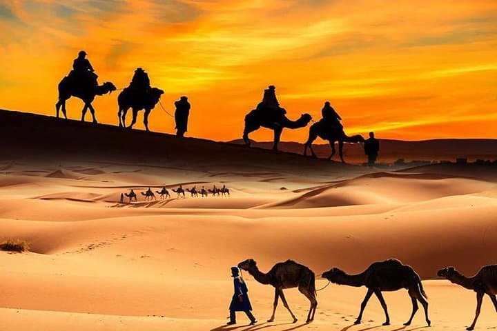 Dubai Desert Safari with Camel Ride, Show, BBQ and Transfers