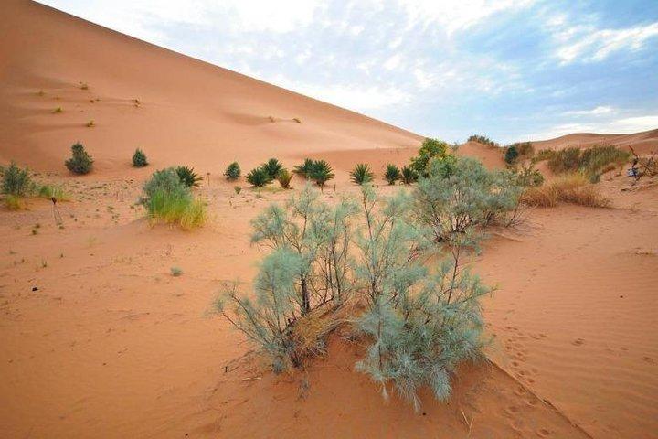 3 Days Merzouga Desert Tour from Marrakech to Fes