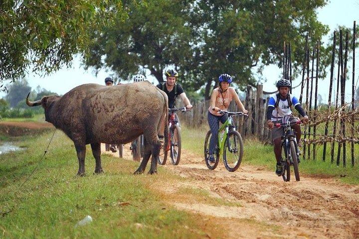 Bike Ride In Siem Reap Countryside