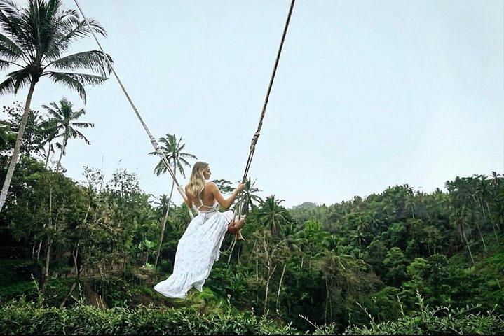 Bali: Ubud Highlights Tour with Private Guide and Transfers