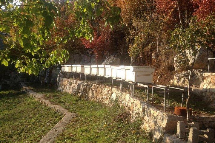 Visit Ostrog Monastery and traditional rural household - Montenegro Private Tour
