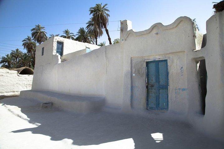 Private Aswan Tour : Nubian Village and Felucca ride