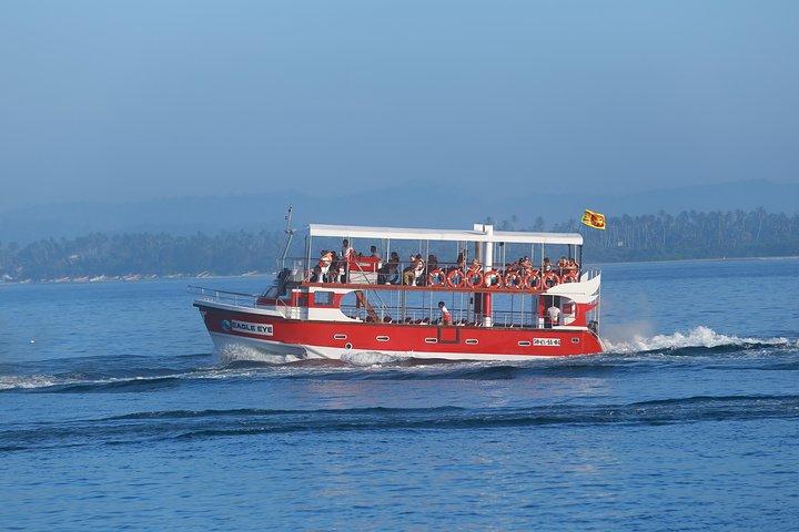Whale Watching Mirissa with Eagle Eye