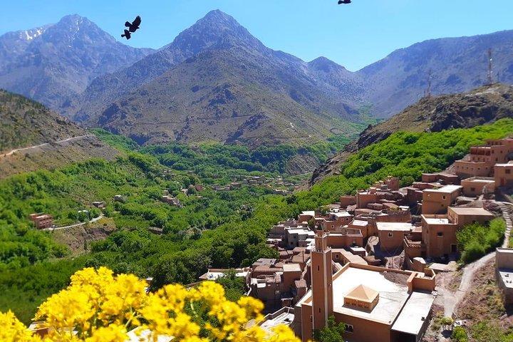 Atlas Mountains and Three Valleys & Waterfalls with Camel ride Day Trip