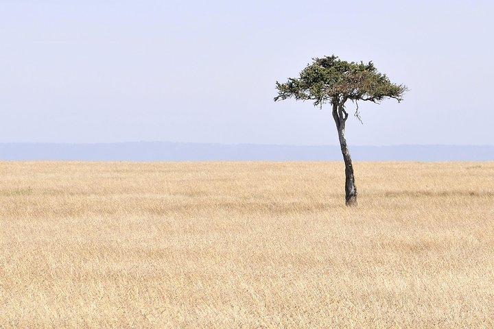 3 Day 2 Nights Maasai Mara Safari