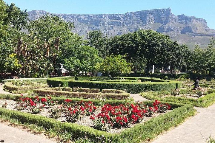 Cape Town City Tour: Camps Bay Beach and Table Mountain Ticket