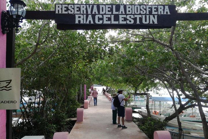 Celestun Biosphere Reserve Tour from Merida