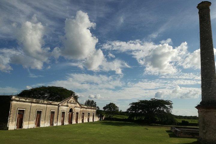 Yaxcopoil Hacienda, Uxmal & Cenote from Merida