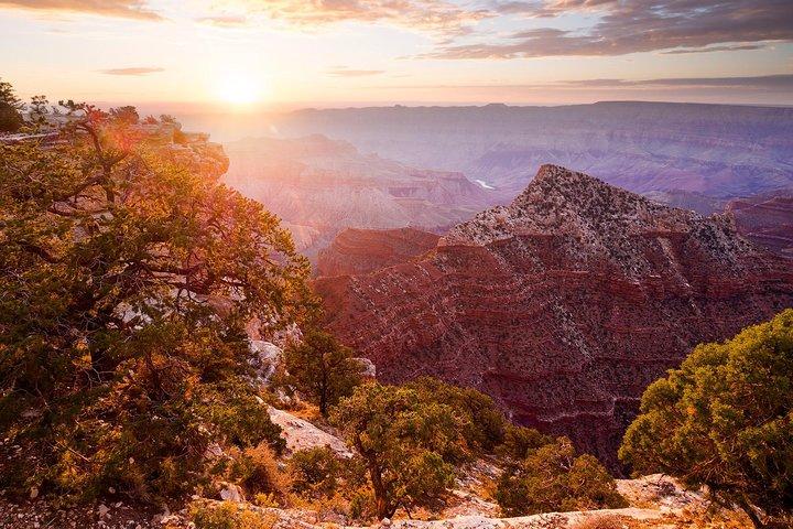 Grand Canyon Experience Tour from Flagstaff
