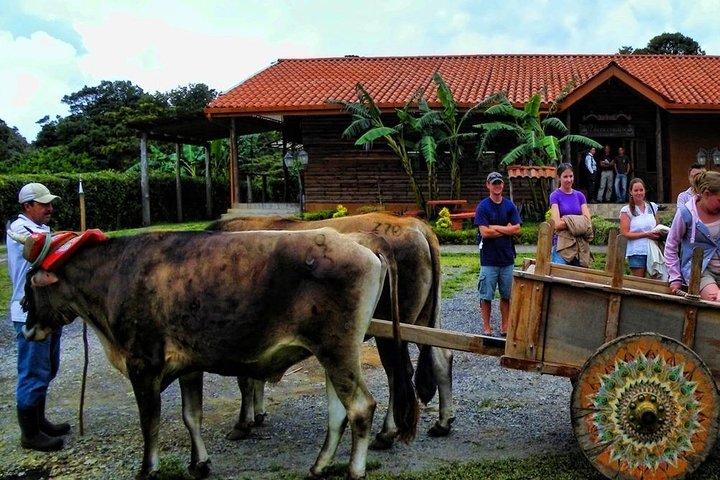 3-in-1 Monteverde Cloud Forest Coffee, Chocolate and Sugar Cane Tour