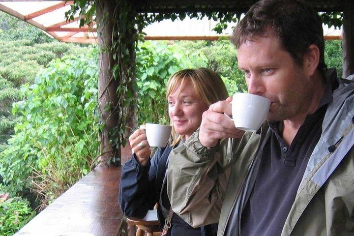 3-in-1 Monteverde Cloud Forest Coffee, Chocolate and Sugar Cane Tour
