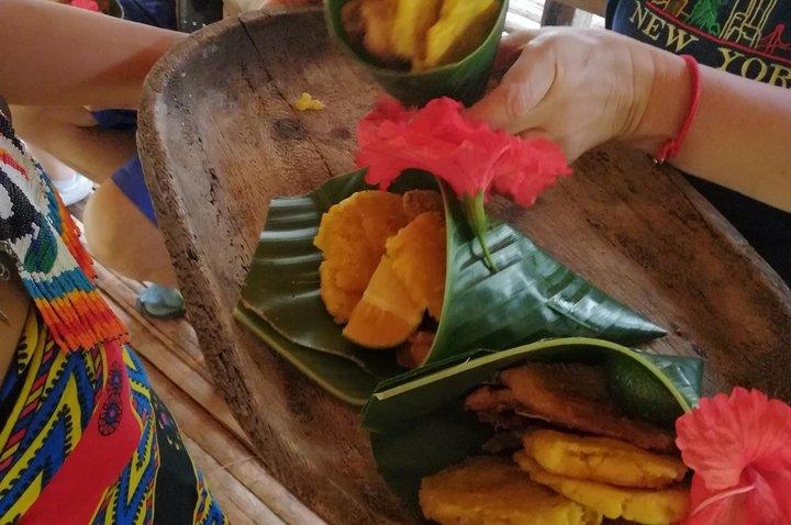 Private Embera village Eco-Cultural Tour, jungle waterfall, and nature hiking