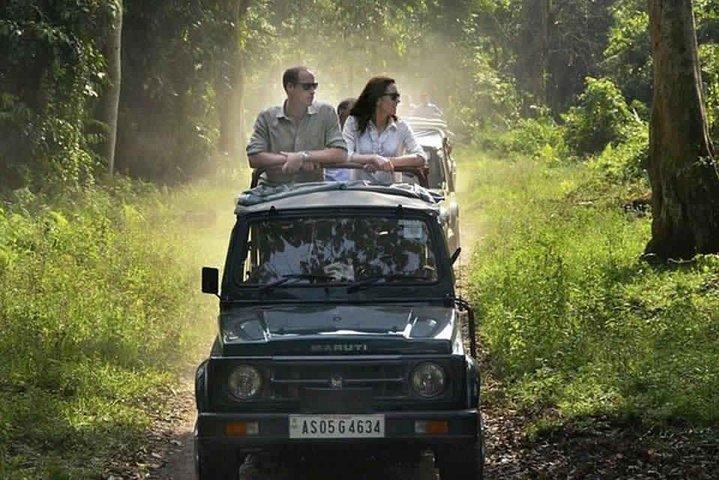 Sariska Tiger Reserve Safari tour from Jaipur