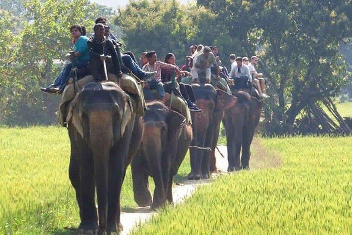Sariska Tiger Reserve Safari tour from Jaipur