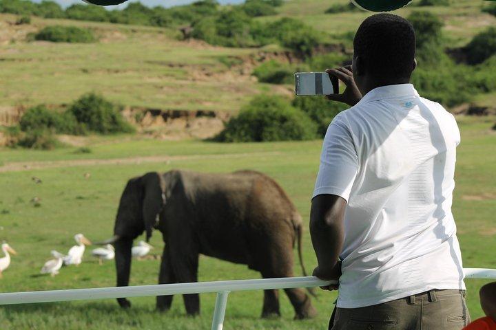 6-Day Queen Elizabeth and Mburo Luxury Safari
