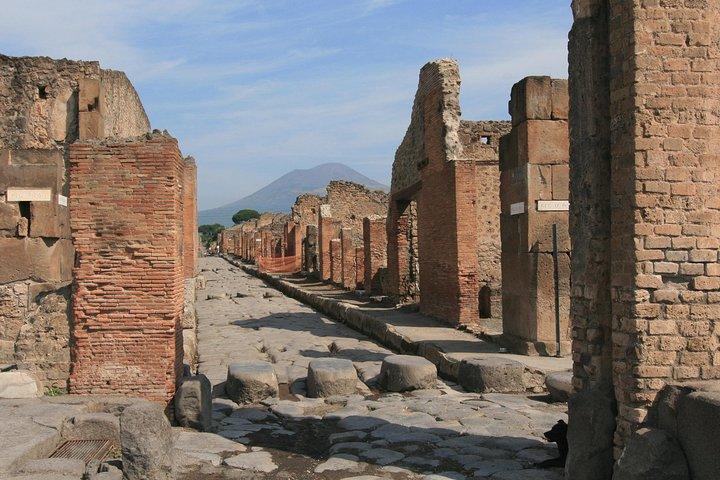 Private Day trip from Rome to Pompeii with official guide inside Ruins