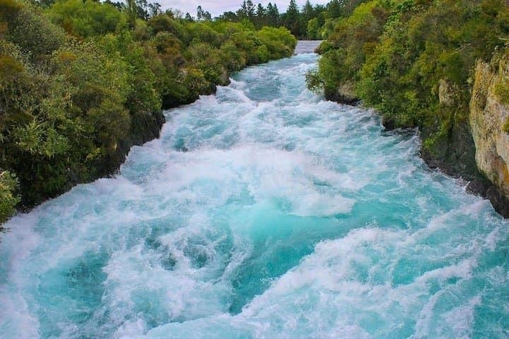 Redwood Forest , Blue Springs & Huka Falls Day Tour from Auckland