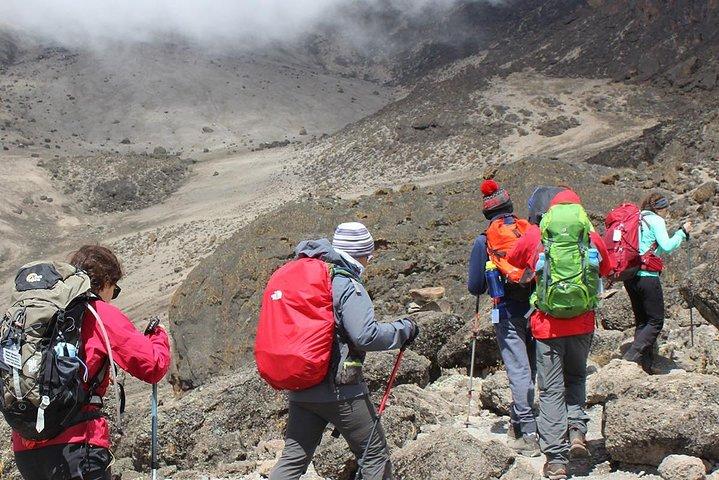 1 Day Kilimanjaro Climb via Machame Route
