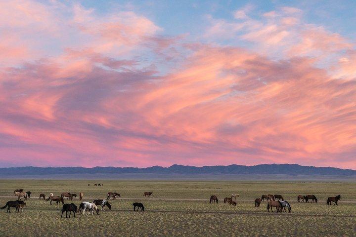 3 Days Central Mongolia Tour- Desert, Steppe and Kharkhorin