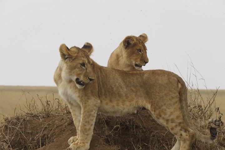 3 Days Tanzania Classic Adventure