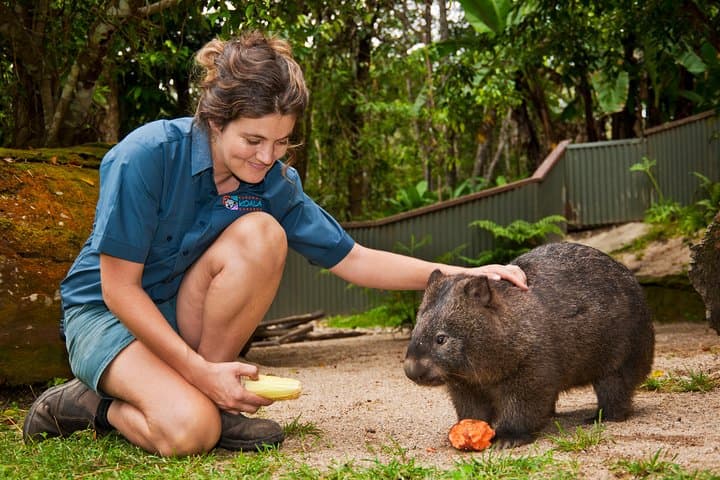 Kuranda Koala Gardens General Entry Ticket