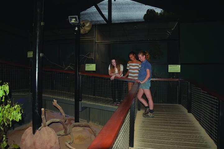 Kuranda Koala Gardens General Entry Ticket