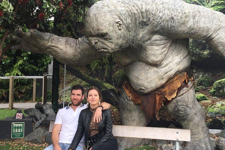 Wellington City Heights Private Sightseeing 6 hour tour