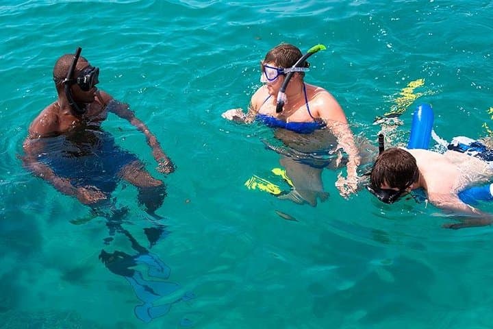 Unforgettable ocean safari experience
