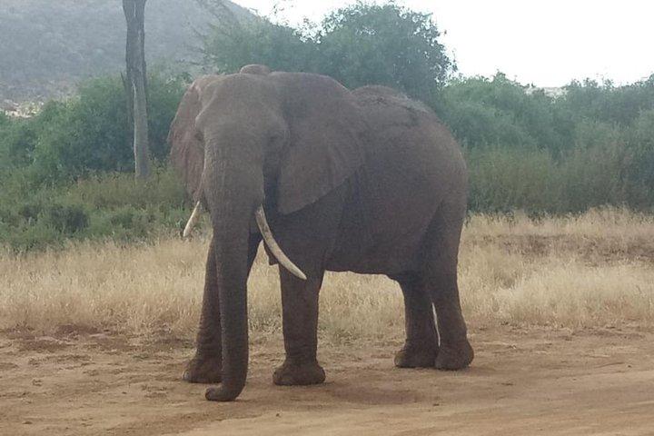 3 Days Ngorongoro crater-lake Manyara safari