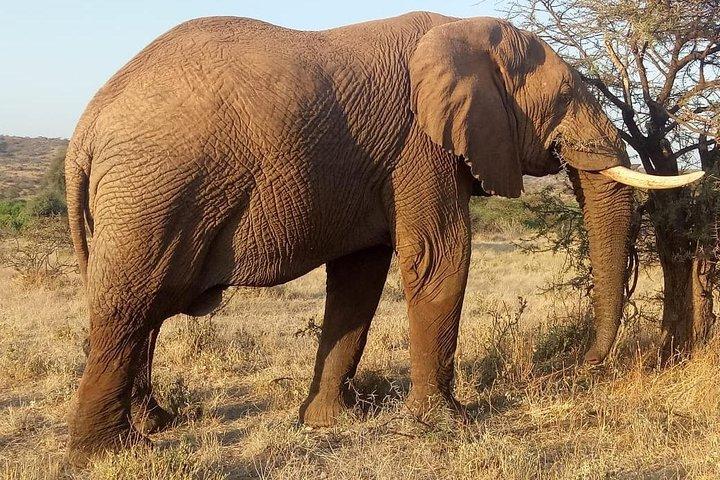3 Days Ngorongoro crater-lake Manyara safari