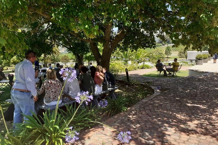 Sip and Savor : A Perfect Half day Wine Escape to Stellenbosch