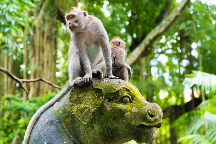 Best of Ubud Attractions: Private All-Inclusive Tour