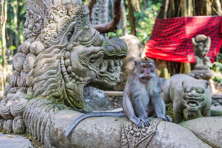 Full-Day Ayung River White Water Rafting and Ubud Tour