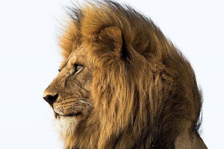 3 Days Tarangire, Ngorongoro Craeter & Lake Manyara