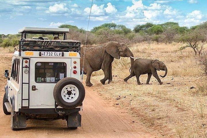 3 Days Tarangire, Ngorongoro Craeter & Lake Manyara