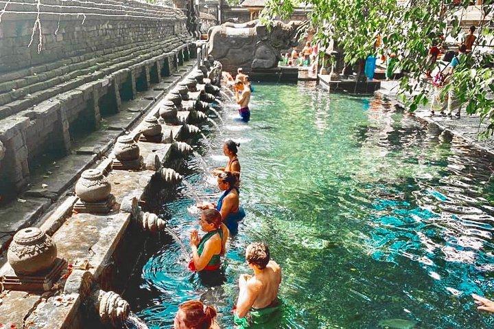 Bali: Ubud Highlights Tour with Private Guide and Transfers