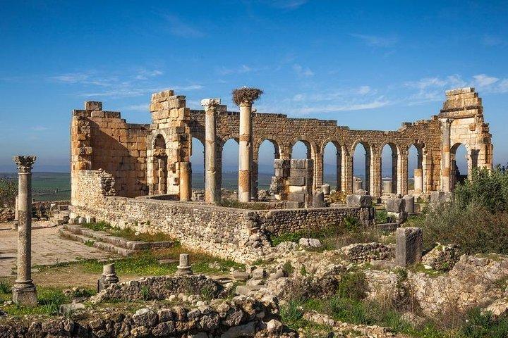 Private Meknes Volubilis -Mouly Idriss day trip from Fez