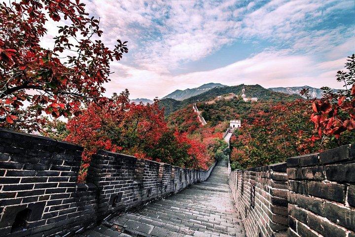 Bullet Train Private Tour: Beijing Tiananmen Square, Forbidden City & Great Wall