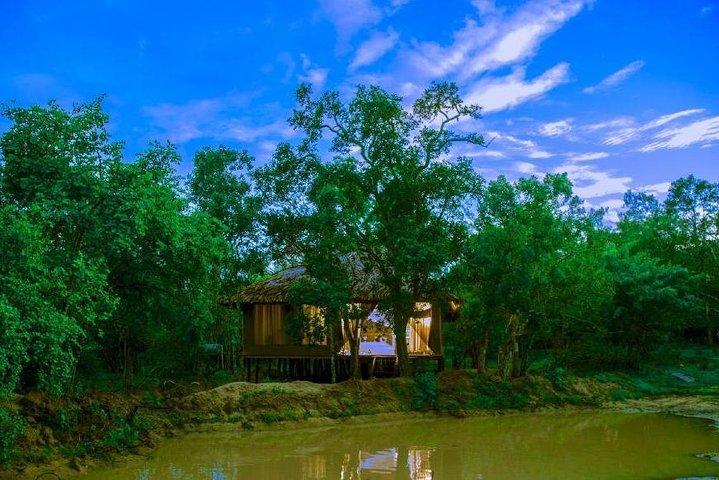 All Inclusive Overnight Tented Camping in Yala From Galle