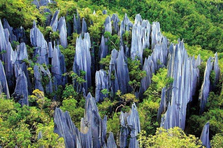 Private Tour: Stone Forest and Flower Birds Market with Lunch