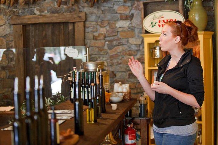 #1 Sonoma Walking Food, Wine Tasting & History Tour (Public Tour)